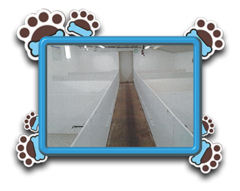 Pet Store «AA Ridgewood Kennels II», reviews and photos, 5401 Lincoln Hwy, Gap, PA 17527, USA