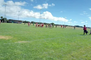 Waiuku Rugby Club image