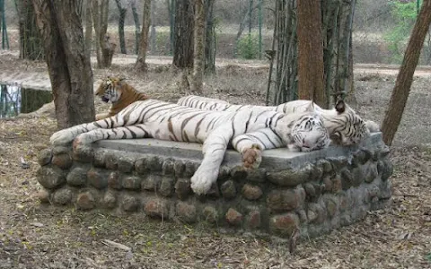 Bannerughatta Biological Park image