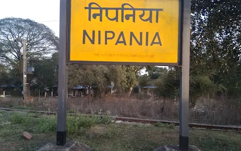 Nipania image