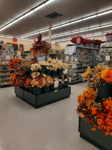Craft Store «Hobby Lobby», reviews and photos, 240 Fort Evans Rd NE, Leesburg, VA 20176, USA