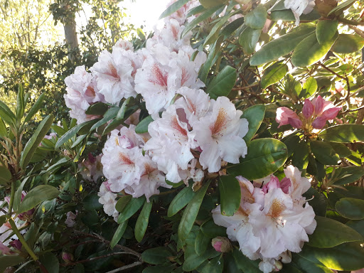 Park «Highlands Park», reviews and photos, 16123 Highlands Blvd SE, Mill Creek, WA 98012, USA