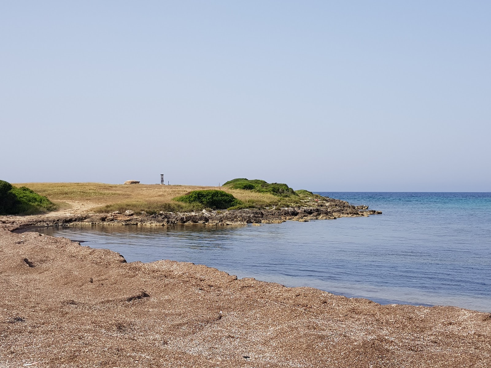 Spiaggia di Torre Colimena的照片 带有碧绿色水表面