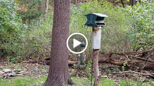 Nature Preserve «Wissahickon Environmental Center», reviews and photos, 300 W Northwestern Ave, Philadelphia, PA 19118, USA