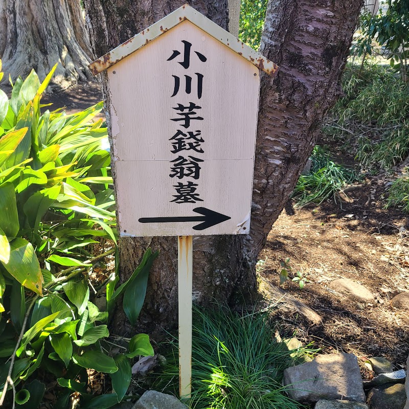 小川芋銭の墓