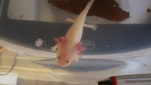 Explore cousin tattoo ideas small, creative tattoo ideas in Morristown, available at Modify Tattoo & Piercing Company