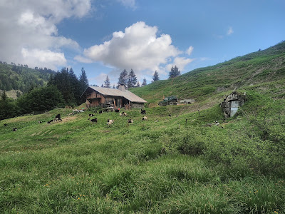 Gurvan porret à La Giettaz