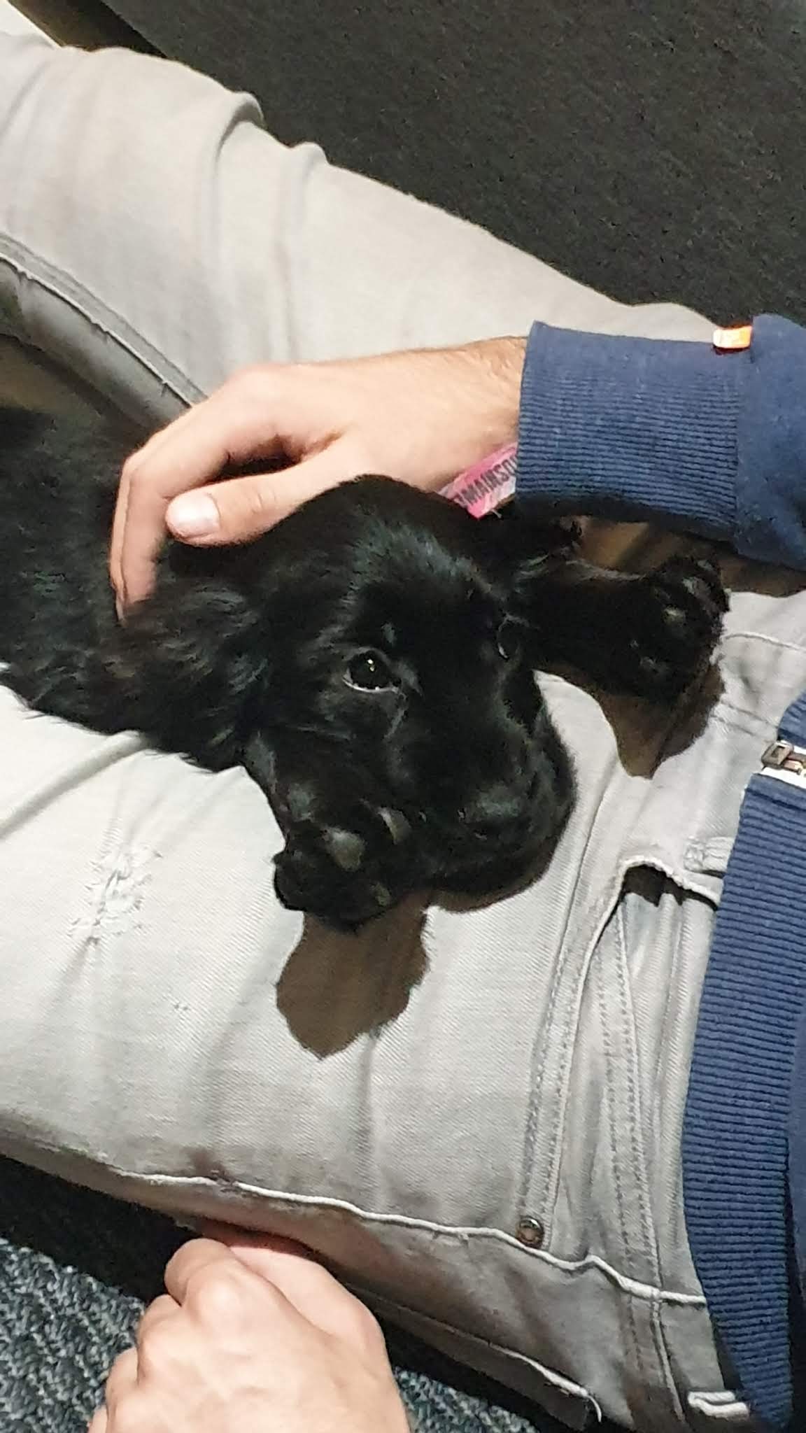 Photo n° 1 de l'avis de Solartech. fait le 05/11/2019 à 06:04