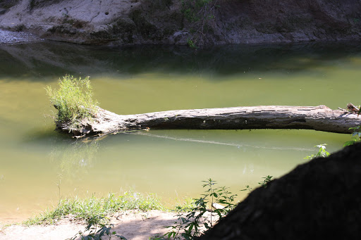 Nature Preserve «Spring Creek Forest Preserve», reviews and photos, 1770 Holford Rd, Garland, TX 75044, USA