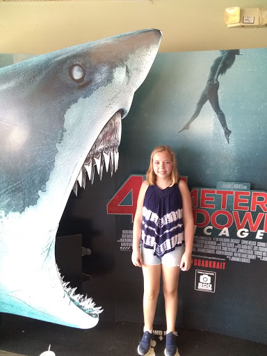 Movie Theater «Apple Cinemas Waterbury», reviews and photos, 920 Wolcott St, Waterbury, CT 06705, USA