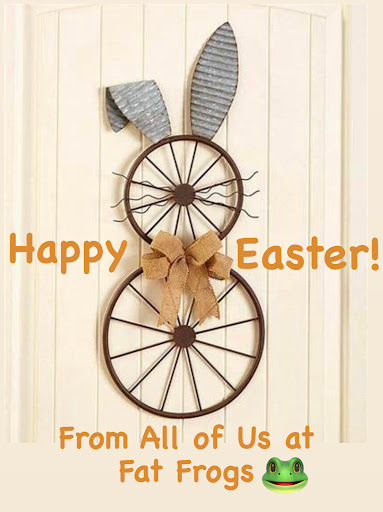 Bicycle Store «Fat Frogs Bike & Fitness», reviews and photos, 1169 Nimmo Pkwy #232, Virginia Beach, VA 23456, USA