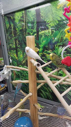 Pet Supply Store «Petco Animal Supplies», reviews and photos, 1203 SE Everett Mall Way f, Everett, WA 98208, USA