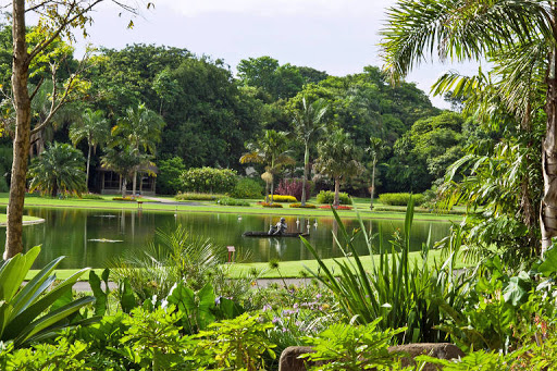 Logo da empresa - Dirson Jardinagem