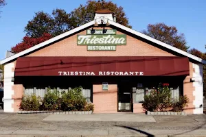 Triestina Restaurant image