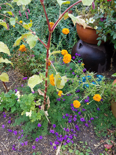 Produce Market «Berry Patch Farms», reviews and photos, 13785 Potomac St, Brighton, CO 80601, USA