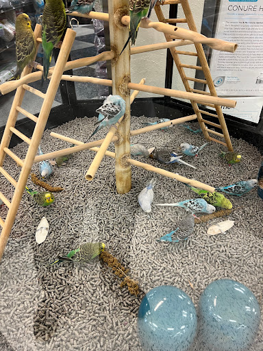 Pet Supply Store «Petco Animal Supplies», reviews and photos, 2204 Harlem Ave, North Riverside, IL 60546, USA