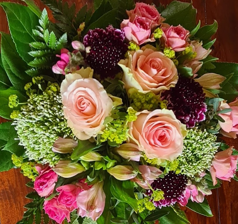 Reischl die Topfblume Inh. Frank Mahncke