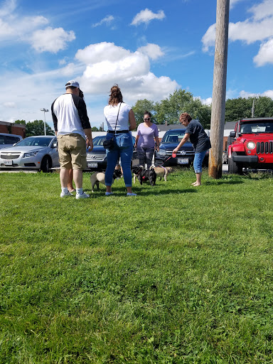 Animal Shelter «One of A Kind Pet Rescue», reviews and photos, 1929 W Market St, Akron, OH 44313, USA