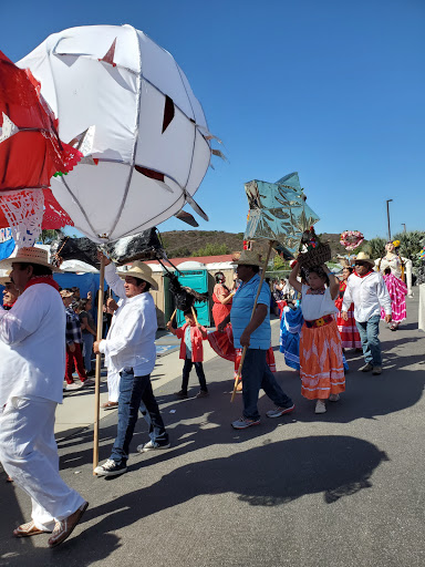 Community College «Palomar College», reviews and photos