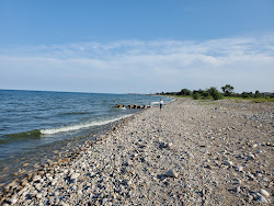 Foto av Alford Beach med hög nivå av renlighet