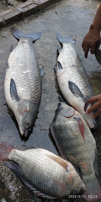 Hồ Câu Đông Ngàn