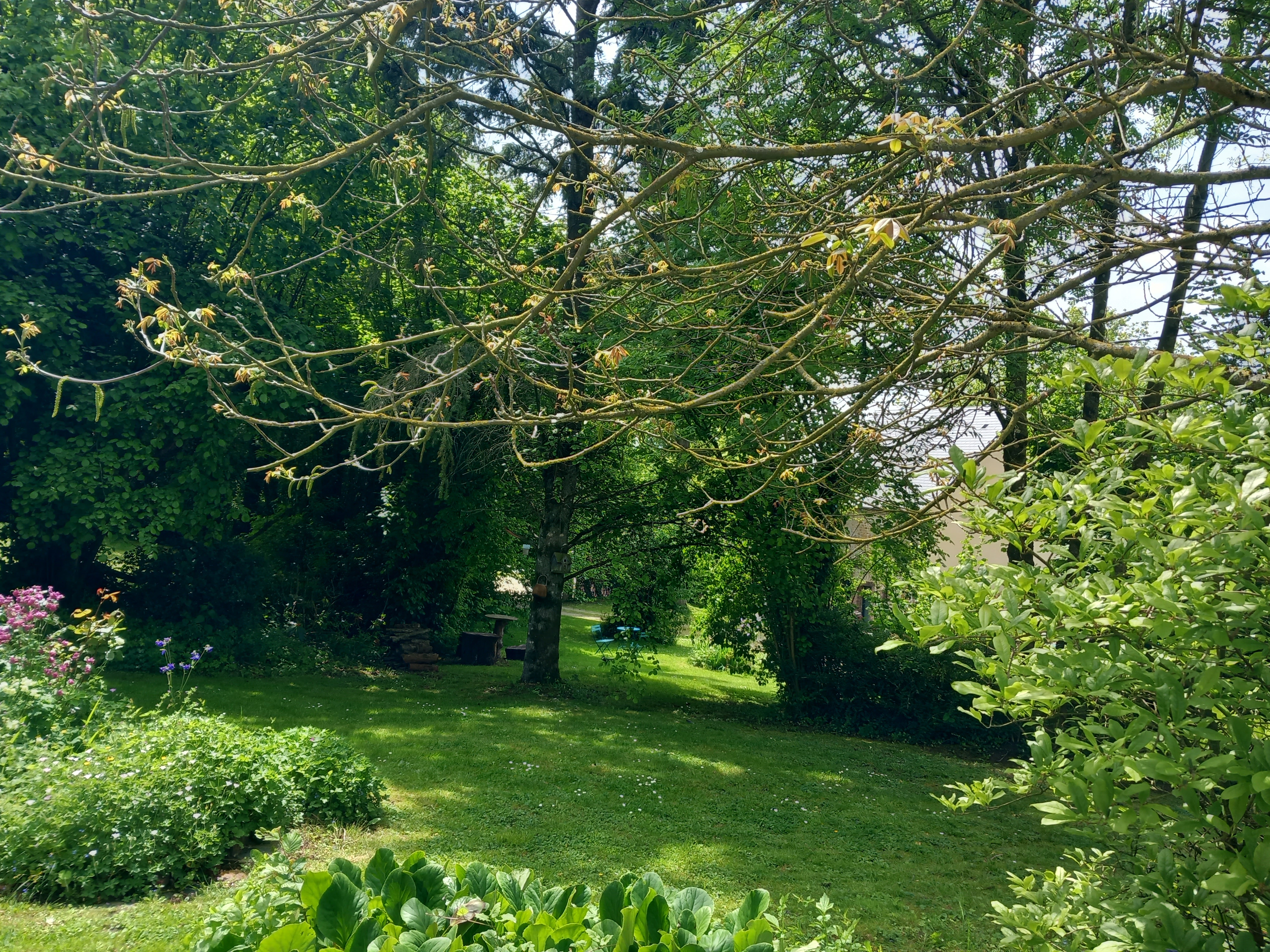 Photo n° 12 de l'avis de Lisa.r fait le 22/05/2023 à 17:35