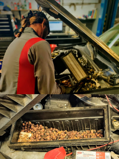 Auto Repair Shop «Del Mar Automotive», reviews and photos, 2201 San Dieguito Dr, Del Mar, CA 92014, USA