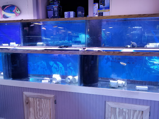 Aquarium «Jays Aquatics», reviews and photos, 10 Lawrence Rd, Salem, NH 03079, USA