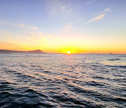 Estero Beach Hotel/Resort photo