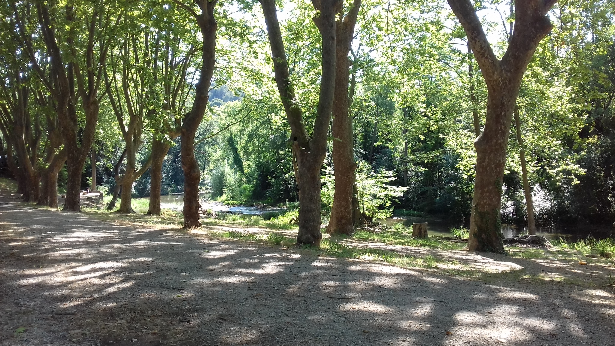Photo n° 1 de l'avis de Louis.E fait le 25/06/2021 à 10:04