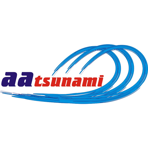 Agentura Tsunami / Tomáš Ivanovič