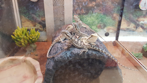 Pet Supply Store «Petco Animal Supplies», reviews and photos, 1624 Governors Square Blvd, Tallahassee, FL 32301, USA