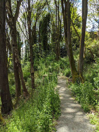 Park «Lewis Park», reviews and photos, 1120 15th Ave S, Seattle, WA 98144, USA