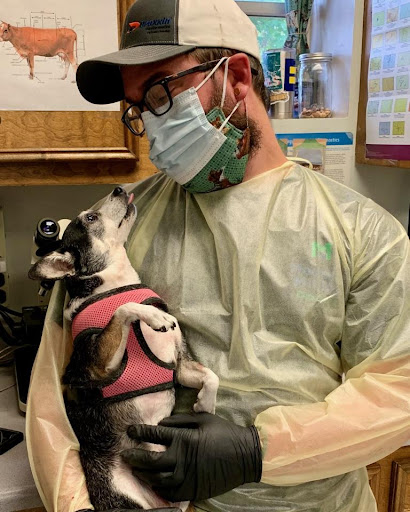 Greers Ferry Veterinary Clinic image