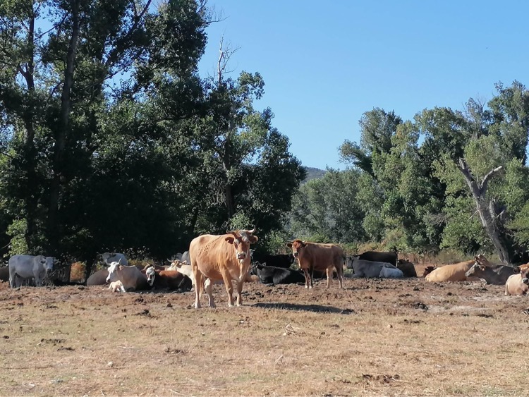 Photo n° 6 de l'avis de Al.v fait le 02/08/2023 à 16:29