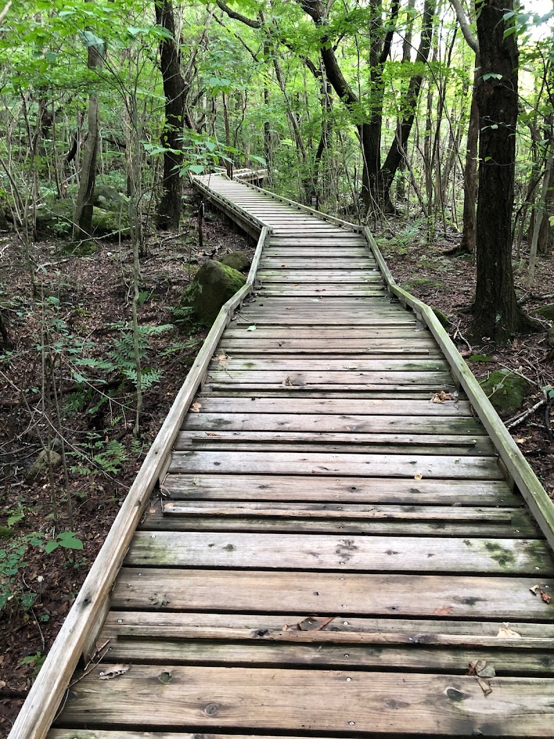 タデ原湿原登山口(雨ヶ池越)