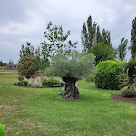 Photo n° 2 de l'avis de Arianna.l fait le 02/07/2023 à 17:28 pour Entre Vignes Et Chateaux à Le Controis-en-Sologne