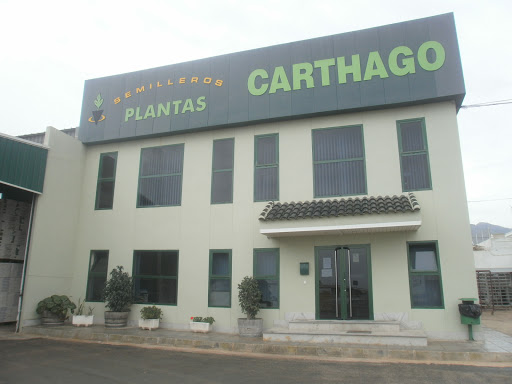 Plantas Carthago, S.L.