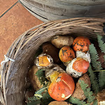 Photo n°3 de l'avis de Osvalda.e fait le 22/09/2022 à 11:32 sur le  Hotel Le Macinaie - Monte Amiata à Castel del Piano