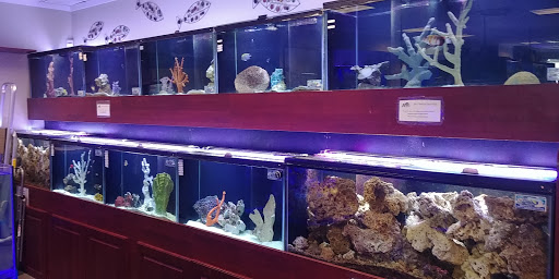 Tropical Fish Store «America Aquaria», reviews and photos, 3485 N 124th St, Brookfield, WI 53005, USA