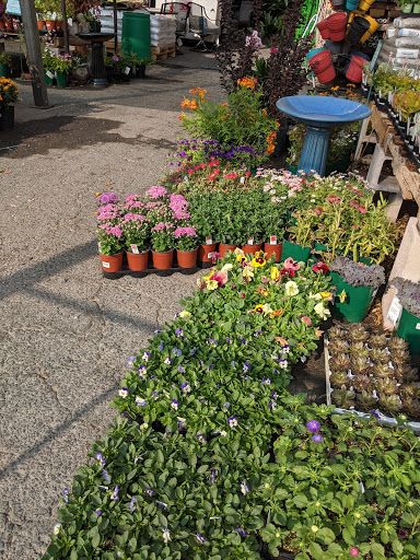 Hardware Store «Antioch Ace Hardware», reviews and photos, 501 Sunset Dr, Antioch, CA 94509, USA