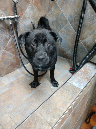 Pet Store «Pet Valu», reviews and photos, 604 Plaza Dr, Newark, DE 19702, USA