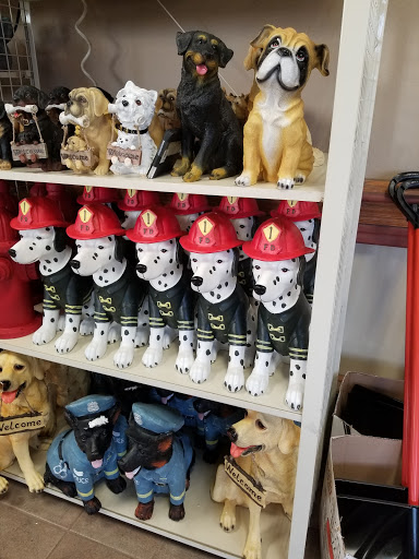 Home Goods Store «Christmas Tree Shops», reviews and photos, 100 Cypress St, Williston, VT 05495, USA