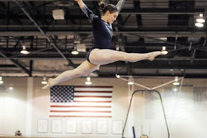 Border Counties School Of Gymnastics image