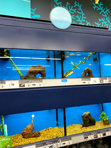 Pet Supply Store «Petco Animal Supplies», reviews and photos, 4030 N MacArthur Blvd #200, Irving, TX 75038, USA