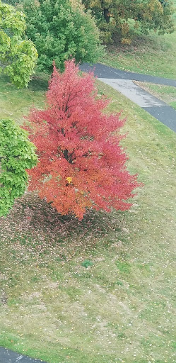 Art Museum «Herbert F. Johnson Museum of Art», reviews and photos, 114 Central Ave, Ithaca, NY 14853, USA