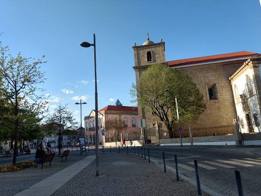 Pérola Doce no Castelo Branco, Castelo Branco