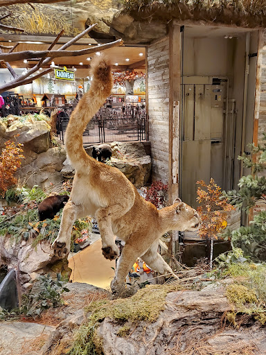 Sporting Goods Store «Bass Pro Shops», reviews and photos, 1 Bass Pro Dr, Bridgeport, CT 06608, USA