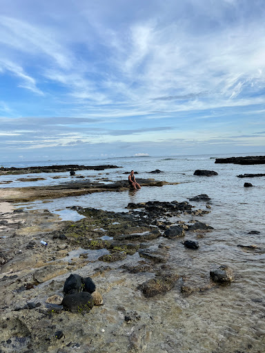 Top 20 cửa hàng akemi Huyện Lý Sơn Quảng Ngãi 2022