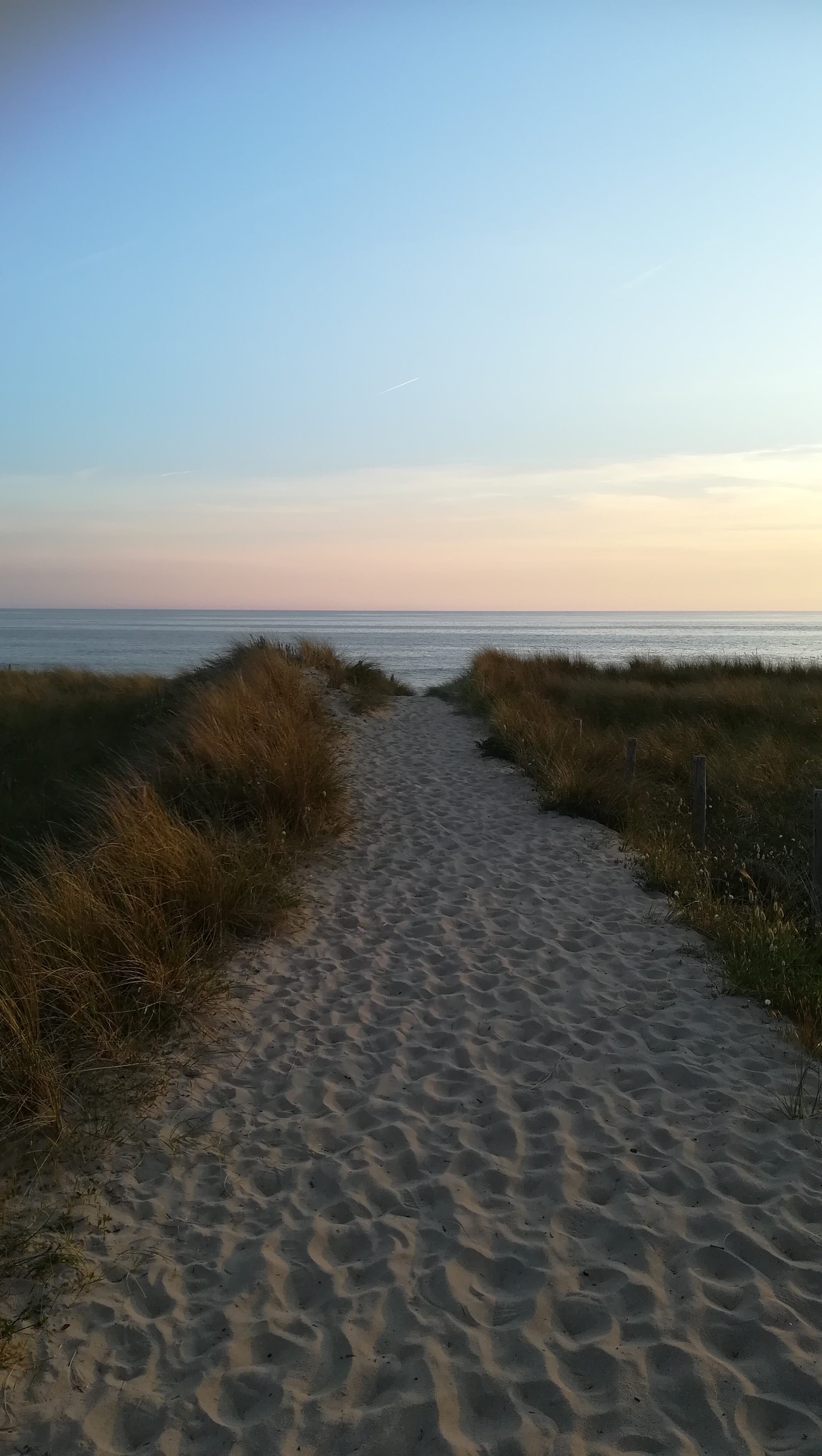 Photo n° 11 de l'avis de NOUNOU.7 fait le 04/09/2017 à 19:28